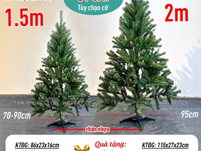 Cây thông Noel xanh trơn 1 loại lá đầu tròn [Cao 1m5-4m5] X-TREE-LP-TNQC